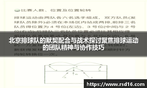 北京排球队的默契配合与战术探讨聚焦排球运动的团队精神与协作技巧